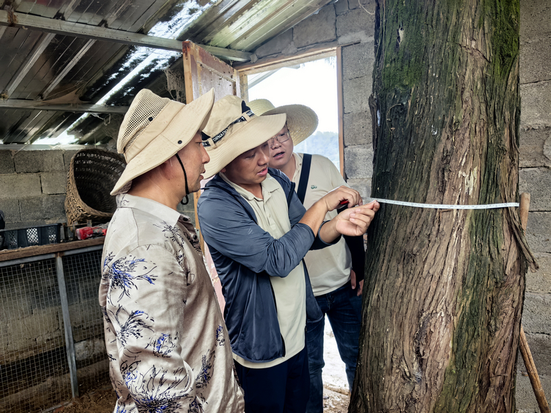 工作中的草帽電力人。