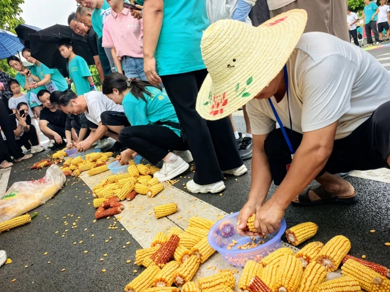 3、活動現場。