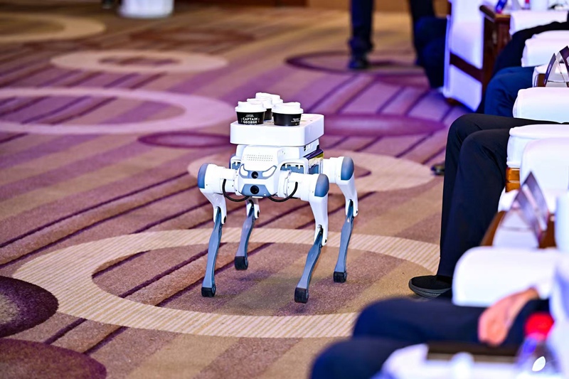 云深AI機器狗送咖啡。貴州大數據集團供圖