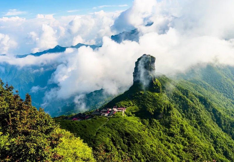 茶韻悠長 貴州銅仁奏響產業高質量發展強音。