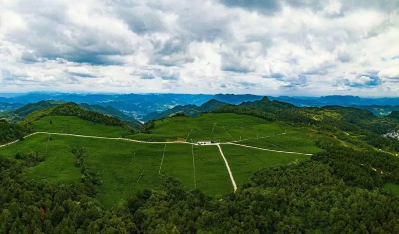 貴州銅仁：守護綠水青山 換得金山銀山。