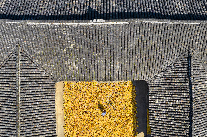 2025年9月1日，貴州省黔西市洪水鎮解放村，農民在晾曬收獲的玉米（無人機照片）。