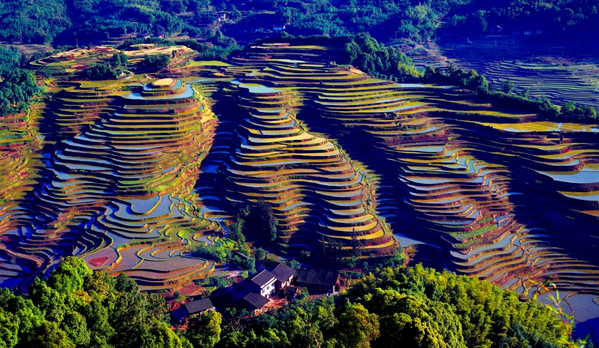 赤水寶源梯田。李寧攝