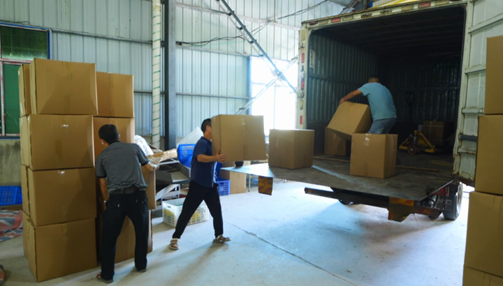 西秀千畝菊花綻放“美麗經濟”。