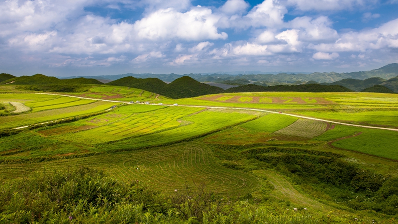 貴州省畢節市威寧自治縣板底鄉小流域治理。威寧自治縣水務局供圖