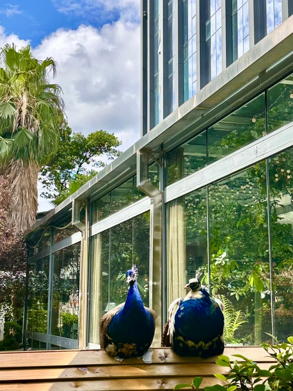 貴陽鉑爾曼大酒店新場景點燃南明秋季文旅市場。