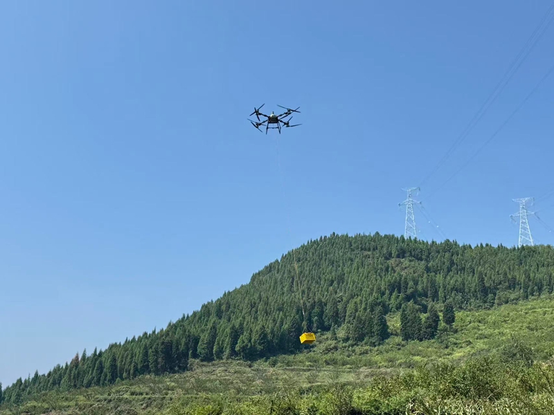 無人機調運果品 （胡曉嫻 攝）.jpg