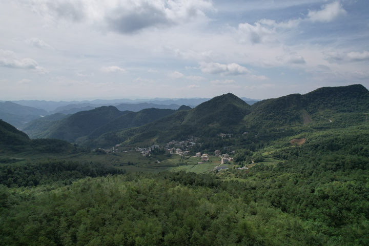 長春堡鎮犀牛村林地資源豐富 郁郁蔥蔥。周照人攝