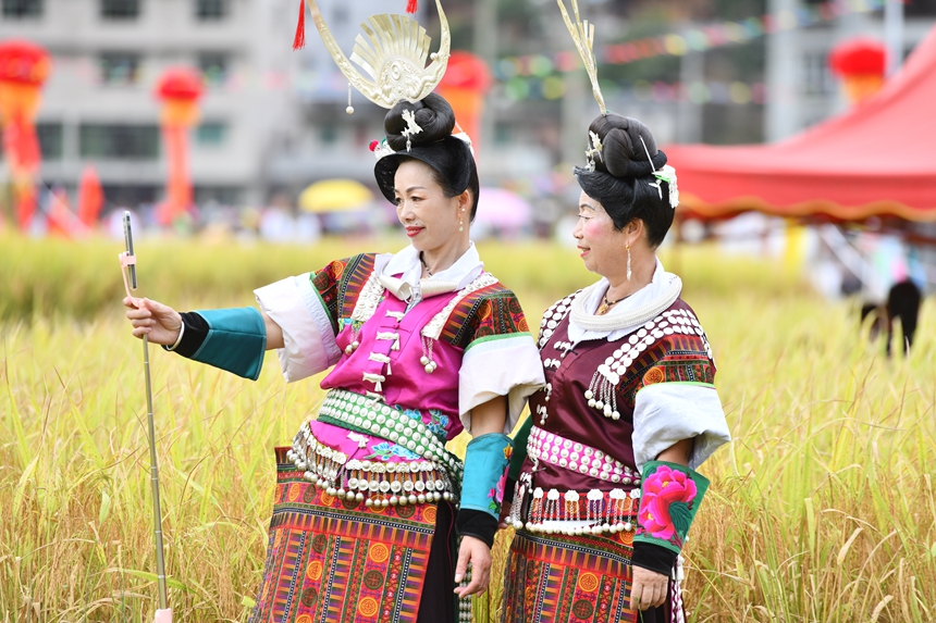 2025年9月13日，貴州省凱里市萬潮鎮馬田村，苗族村民們在田壩自拍鬧豐收。楊仁海攝