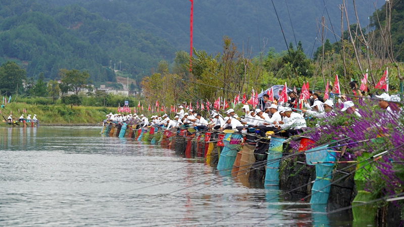 垂釣愛好者“村釣”競技。