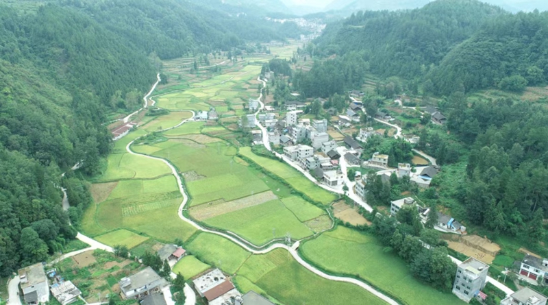 曾家溝村 (2).jpg