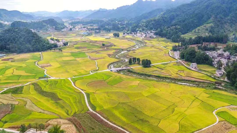 貴州務川：仡鄉山水孕珍味 黔北沃土出佳鮮 (1)