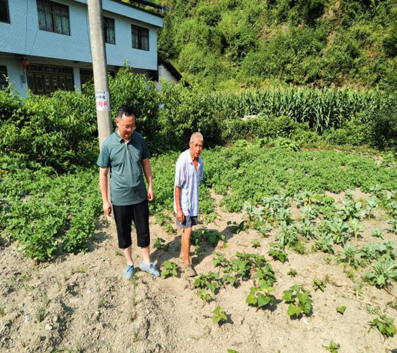 黃林了解村民農作物生產情況。