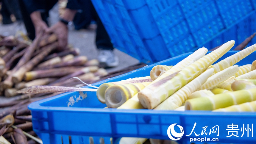 已經剝好的方竹筍。人民網 黃小桃攝