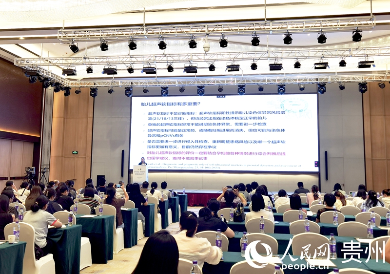 專家學者進行授課。人民網記者 王秀芳攝