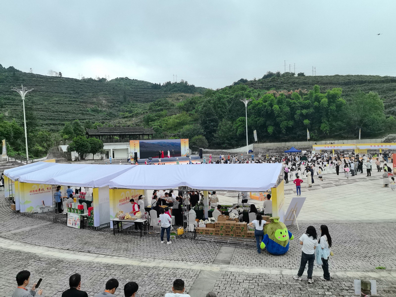 大會活動現場。李宇攝