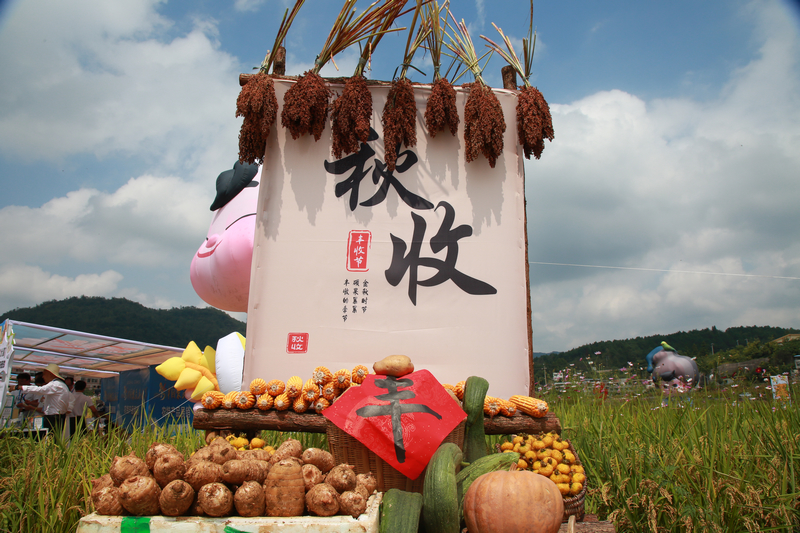 七星關區2025年中國農民豐收節分會場活動現場。