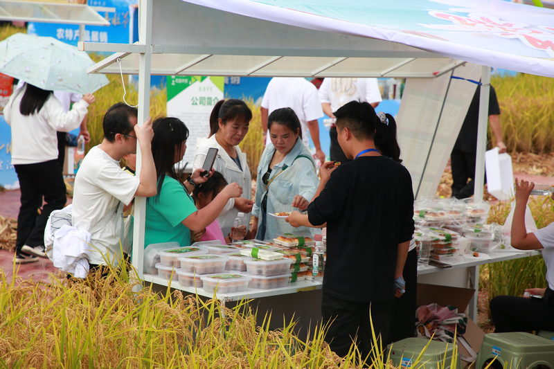 七星關區2025年中國農民豐收節稻田新市集在碧海街道張家寨社區金色的稻田里熱鬧開張，各種農特產品琳瑯滿目，攤位前，游客簇擁品嘗、選購。