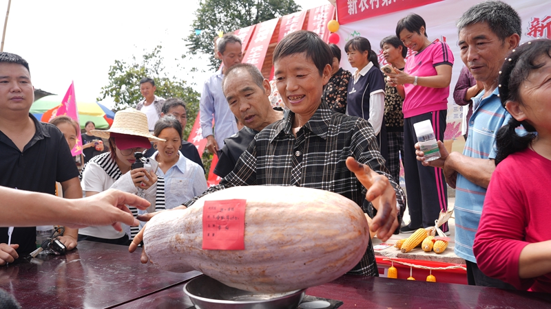村民們紛紛帶著自家的農作物進行“農作物稱重大比拼”。
