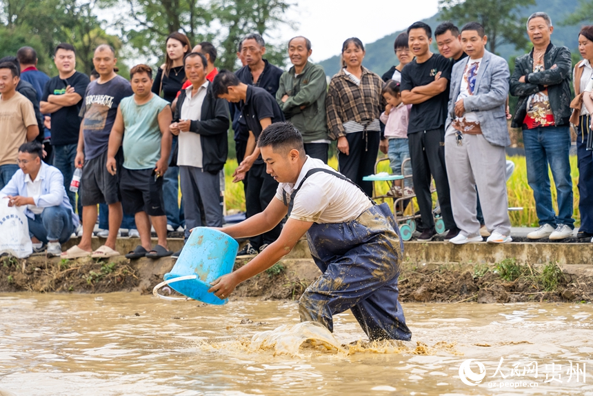 摸魚比賽現場，參賽選手用水桶捉魚。人民網記者 涂敏攝