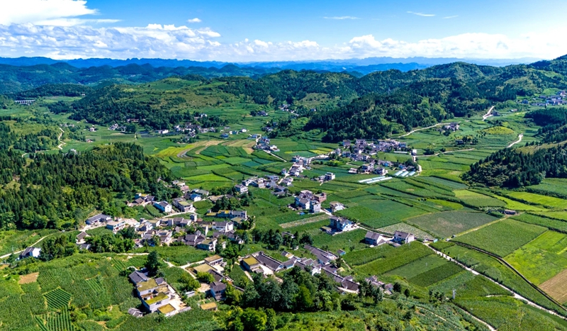 貴州黔西林泉鎮：“小箱”落地促變貌  東西協作添“顏”值 (2)