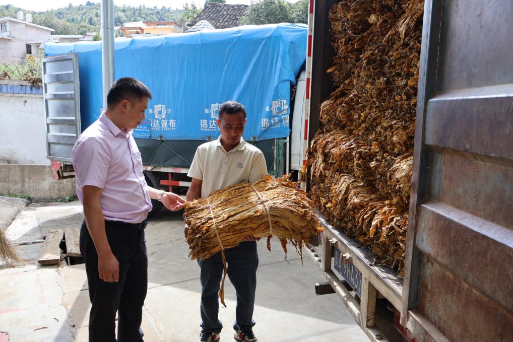 煙農唐大哥向農行開陽縣支行客戶經理介紹烤煙烘烤情況。