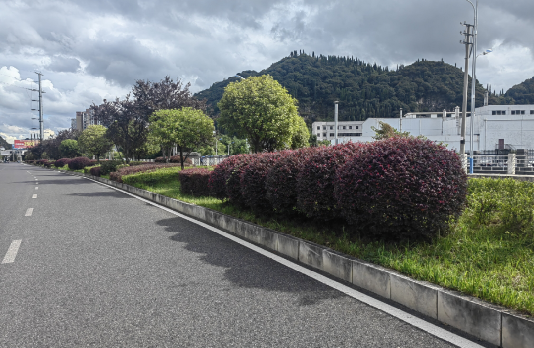 西秀區園林局開展秋季綠化管護工作。