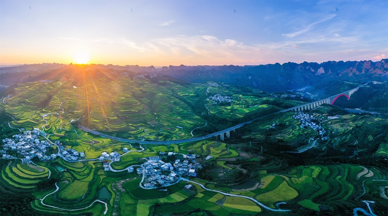 貴州省黔南布依族苗族自治州羅甸縣沫陽鎮羊場梯田水稻豐收一景。 