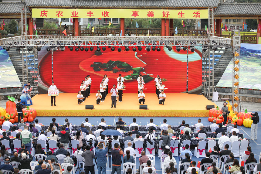 貴定縣金南街道產業發展成果展示。石銀超攝