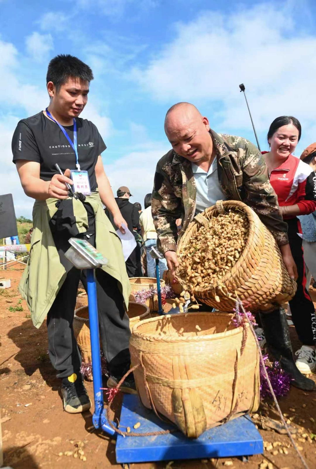 稱花生 謝慧芳 攝