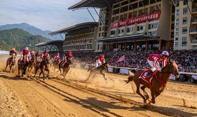 “村馬”現場。三都縣委宣傳部供圖