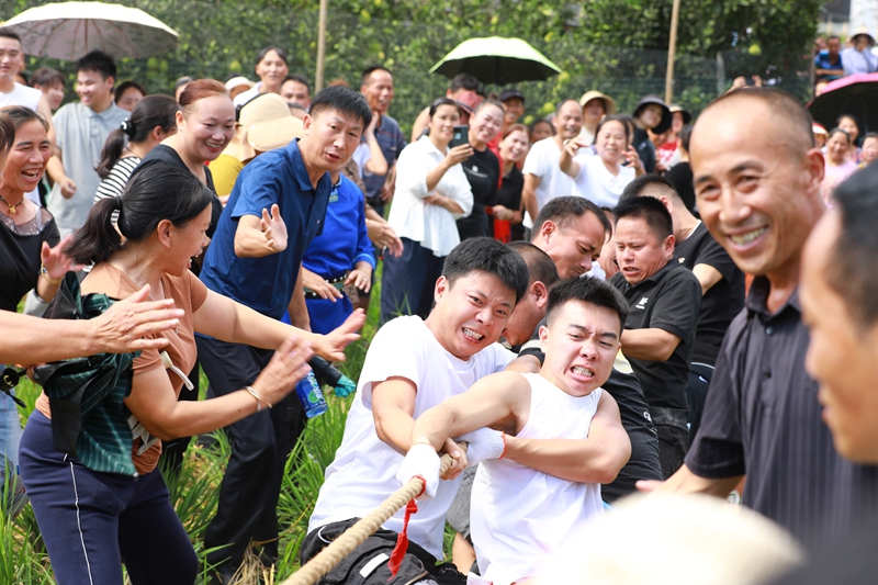 南明農民豐收節拔河活動現場。 吳麟欽 攝