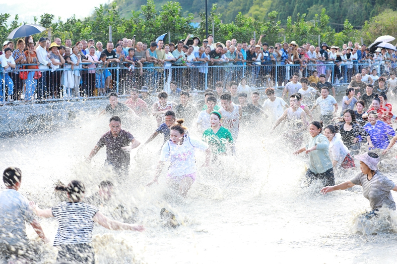 參賽選手正在激烈抓鴨子。 吳麟欽 攝
