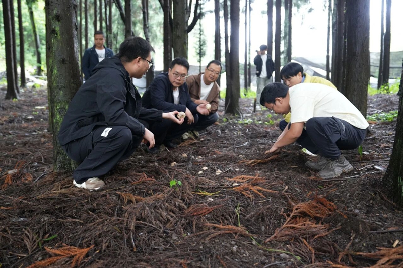 工作人員正在指導村民。
