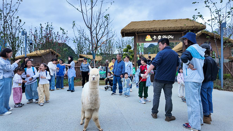 萌寵巡游?！盎没觵oung”項目供圖