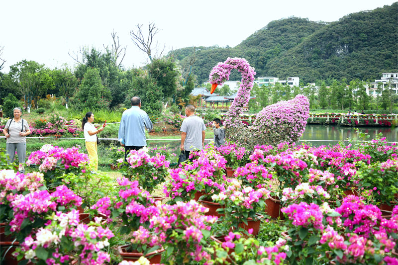 游客駐足觀賞拍照，沉浸在這美麗的景致中。