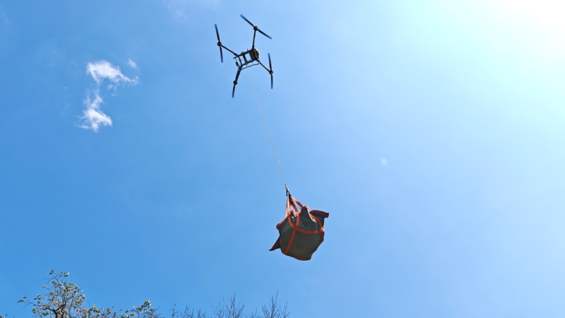 圖為施秉縣楊柳塘鎮運用無人機運輸南瓜（潘佳佳攝）