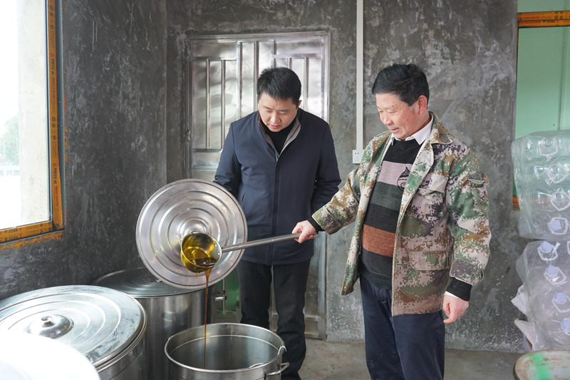 金沙縣人大代表陳靜在安底鎮老場村茅金菇小榨油加工廠看現榨的小菜油。黃源匯攝