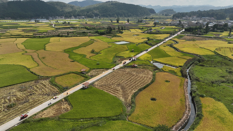 灣灘河鎮翠微村糧食壩區。