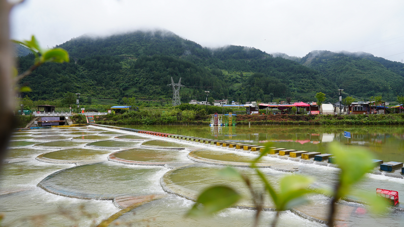 龍里縣龍山鎮余下村魚麟壩。