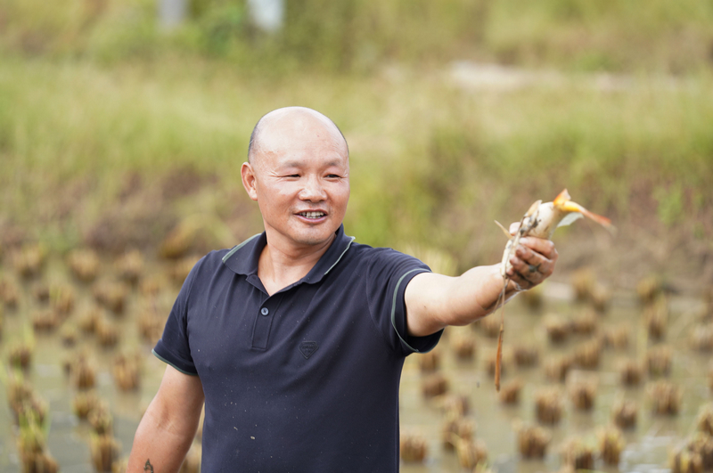 灣灘河村民正在捉魚。