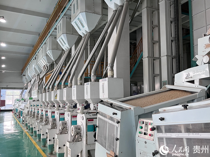 貴州高峰十里香米業有限公司車間。人民網 陳潔泉攝.jpg