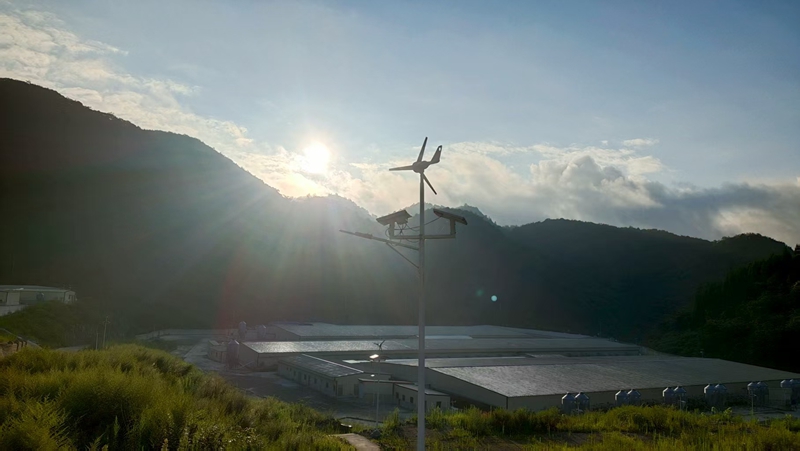 1、桐梓縣茅石鎮中關村日泉原種豬場。 圖片由采訪對象提供.jpg