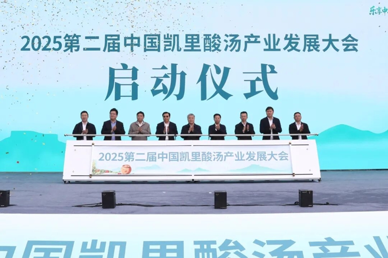 3第二屆中國凱里酸湯產業發展大會正式啟動。