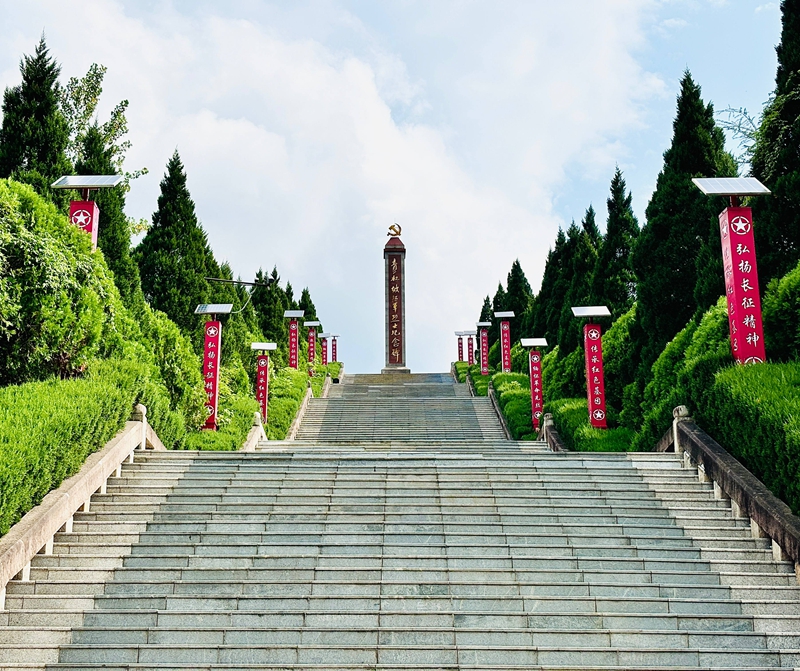 1、在青杠坡戰斗遺址，沿著寬闊的石階緩緩向上，松柏蒼翠，青山肅立。刁苓沙 攝.jpg