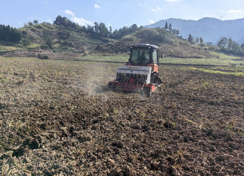 搶抓秋冬種農時機械化助力油菜高效種植。