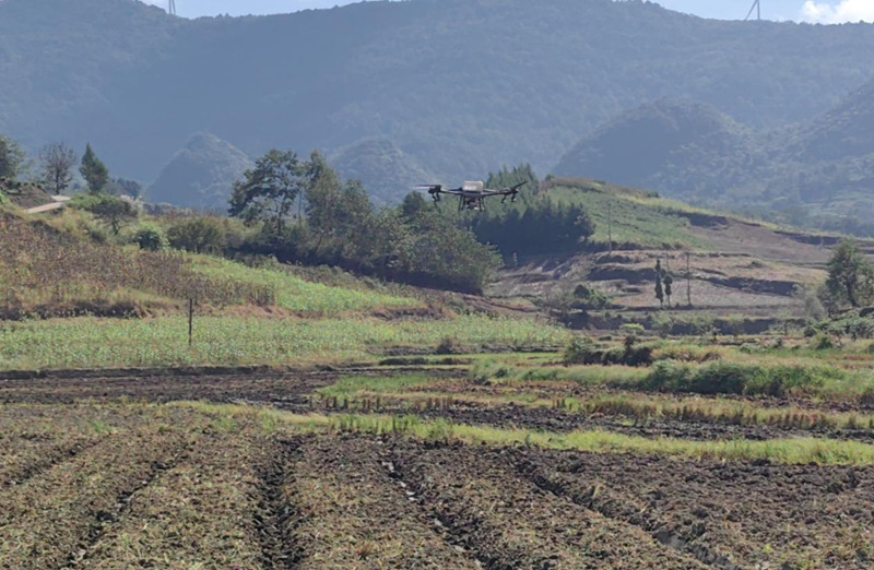 搶抓秋冬種農時機械化助力油菜高效種植。