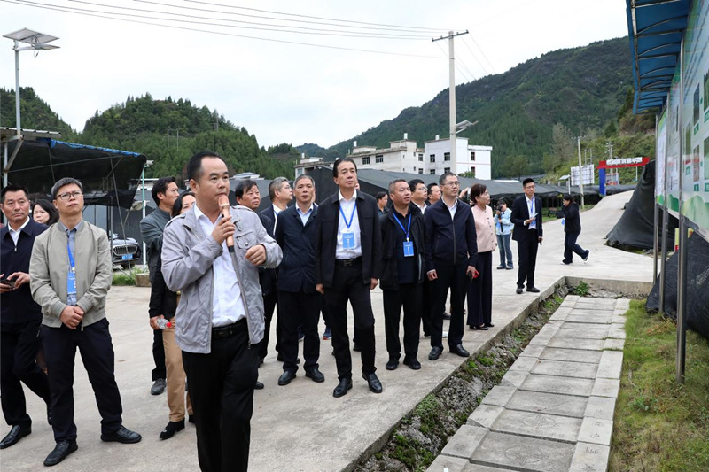 參觀考察。