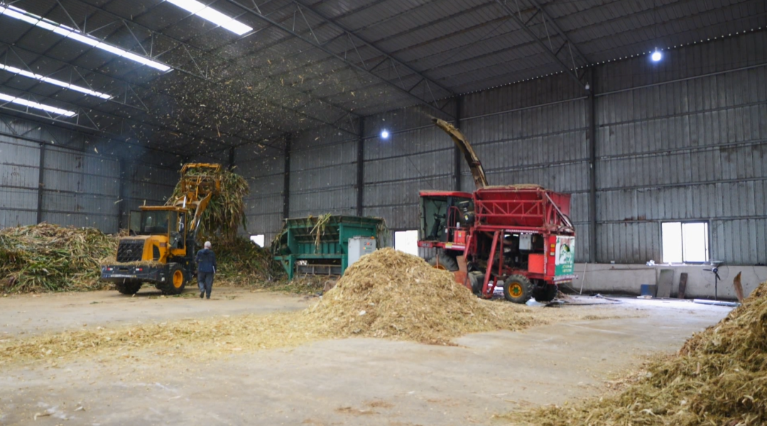 一根小秸稈“鏈”起多方共贏大產業。