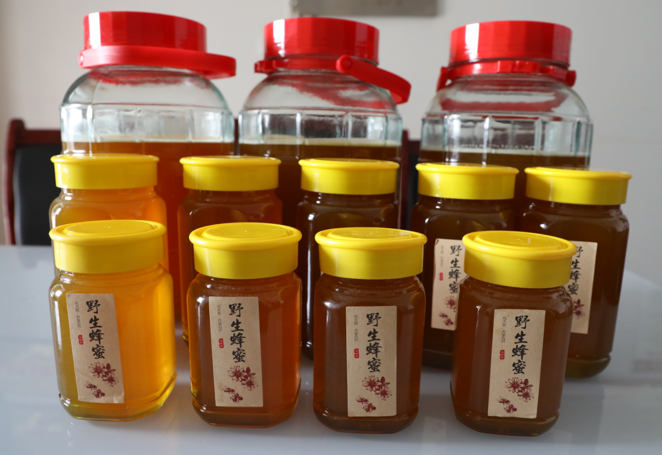 勤儉村的蜂蜜。